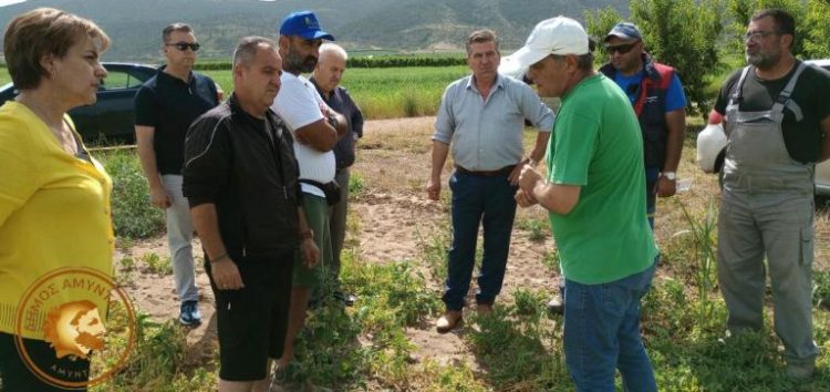 Αυτοψία κλιμακίου του ΕΛΓΑ για καταγραφή μεγέθους ζημιάς σε καλλιέργειες οσπρίων (φασολάκια) σε χωράφια της περιοχής Αντιγόνου