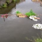 Ο πολιτισμός και η μόρφωσή μας…