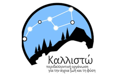 Καλλιστώ: Τρεις νεκρές αρκούδες σε λίγες ώρες – Η αδράνεια της Πολιτείας δεν μπορεί να συνεχιστεί