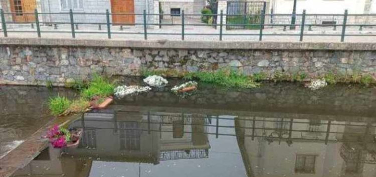 Καταγγελία του Δήμου Φλώρινας για καταστροφή λουλουδιών στον ποταμό Σακουλέβα