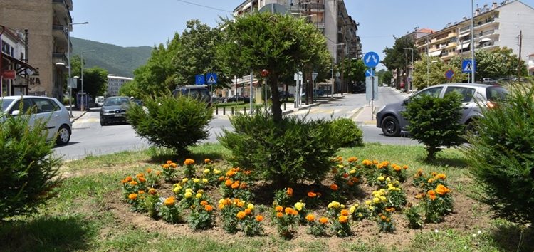 Συνεχίζονται οι ανθοφυτεύσεις σε κοινόχρηστους χώρους του Δήμου Φλώρινας