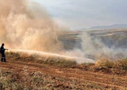 Κατάσβεση φωτιάς στις κοινότητες Μεσοχωρίου και Μαρίνας (pics)