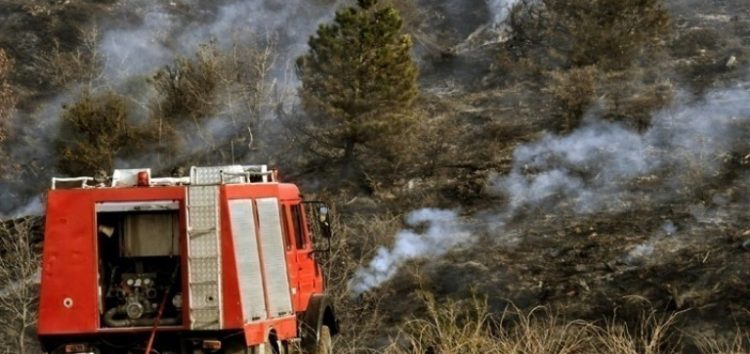 Χωρίς ενεργό μέτωπο η πυρκαγιά σε δασική έκταση στο Βροντερό Πρεσπών
