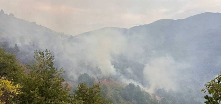 Η Πολιτική Προστασία Δήμου Φλώρινας συνέδραμε στην κατάσβεση πυρκαγιάς σε δασική έκταση της κοινότητας Αλώνων