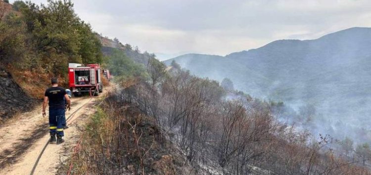 Ευχαριστήριο του προέδρου της κοινότητας Αλώνων για την κατάσβεση της πυρκαγιάς