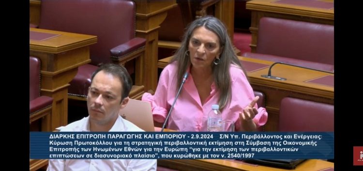 Πέτη Πέρκα: «Η προστασία του φυσικού περιβάλλοντος δεν είναι περιορισμός, αλλά ευκαιρία και μέσον για την πρόοδο των τοπικών κοινωνιών» (video)