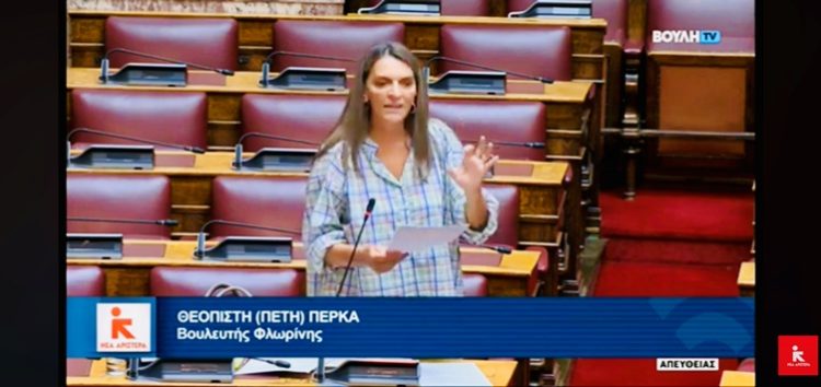 Π. Πέρκα: «Πάρτε πίσω το Περιφερειακό Χωροταξικό Πλαίσιο και προχωρήστε σε διαβούλευση και σε επικαιροποίηση  των γνωμοδοτήσεων και των μελετών»