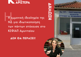 Πέτη Πέρκα: «Η εμμονική ιδεοληψία της ΝΔ για ιδιωτικοποίηση των πάντων στόχευσε στο ΚΕΦΙΑΠ Αμυνταίου. Δεν θα περάσει!»