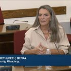 Πέτη Πέρκα: «Η κυβέρνηση πρέπει να ασχοληθεί πιο σοβαρά με την οδική ασφάλεια» (video)