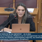 Π. Πέρκα: «Εκσυγχρονισμός για την κυβέρνηση ΝΔ είναι επιβολή του κυβερνητικού σχεδίου κόντρα στο Σύνταγμα και φωτογραφικές ρυθμίσεις»