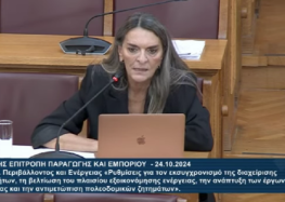 Π. Πέρκα: «Εκσυγχρονισμός για την κυβέρνηση ΝΔ είναι επιβολή του κυβερνητικού σχεδίου κόντρα στο Σύνταγμα και φωτογραφικές ρυθμίσεις»