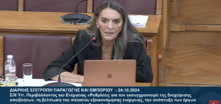 Π. Πέρκα: «Εκσυγχρονισμός για την κυβέρνηση ΝΔ είναι επιβολή του κυβερνητικού σχεδίου κόντρα στο Σύνταγμα και φωτογραφικές ρυθμίσεις»