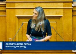 Πέτη Πέρκα: «Καταψηφίζουμε το νομοσχέδιο επειδή αντί να ολοκληρώνει την διαδικασία κτηματογράφησης, την οδηγεί σε μια ξαφνική και απρόβλεπτη διακοπή»