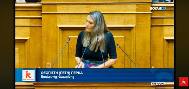 Πέτη Πέρκα: «Καταψηφίζουμε το νομοσχέδιο επειδή αντί να ολοκληρώνει την διαδικασία κτηματογράφησης, την οδηγεί σε μια ξαφνική και απρόβλεπτη διακοπή»