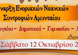 Έναρξη ενοριακών νεανικών συντροφιών Αμυνταίου