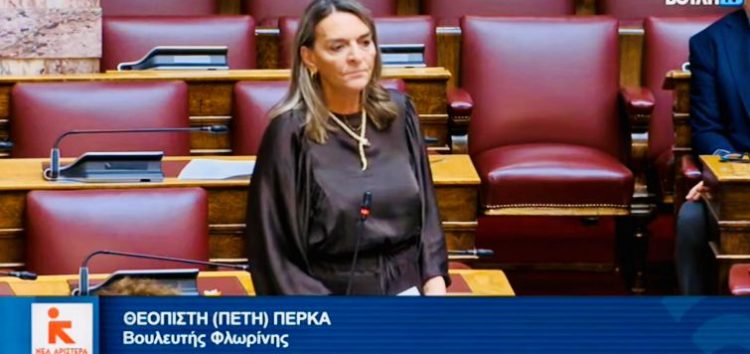 Πέτη Πέρκα: «Η κυβέρνηση είναι έκθετη για την βία προς τους πυροσβέστες, το αντισυνταγματικό νομοσχέδιο για τα απόβλτητα και τις ολέθριες επιλογές στη Δυτική Μακεδονία»