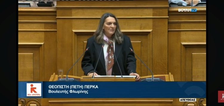 Πέτη Πέρκα: «Η εύρυθμη λειτουργία της Βουλής, ως πυλώνας του δημοκρατικού πολιτεύματος, είναι σημαντικό να υποστηρίζεται επαρκώς και δίκαια»