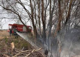 Κατάσβεση φωτιάς στην Κοινότητα Αμμοχωρίου (pics)