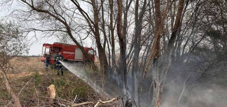 Κατάσβεση φωτιάς στην Κοινότητα Αμμοχωρίου (pics)