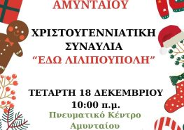 «Εδώ Λιλιπούπολη»: Χριστουγεννιάτικη συναυλία από το Μουσικό Σχολείο Αμυνταίου