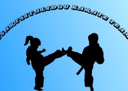 Tsartsitalidou Karate Team : 9-19/12 δωρεάν μαθήματα καράτε