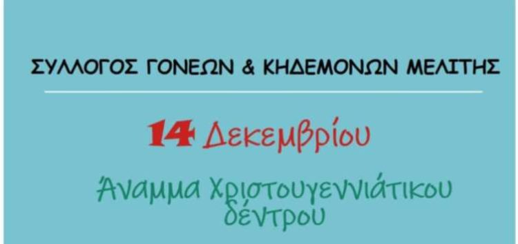 Άναμμα Χριστουγεννιάτικου Δέντρου στη Μελίτη