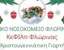 Χριστουγεννιάτικη γιορτή του ΚΕΦΙΑΠ Φλώρινας