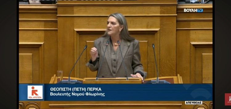 Πέτη Πέρκα: «Ποινικός λαϊκισμός, τροπολογίες της τελευταίας στιγμής και απόρριψη προτάσεων για τη δίκαιη μετάβαση» (video)