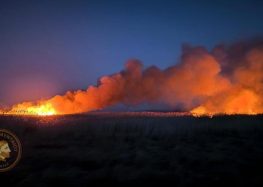 Φωτιά σε καλαμιώνες της λίμνης Πετρών