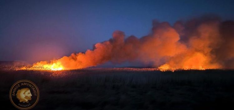 Φωτιά σε καλαμιώνες της λίμνης Πετρών