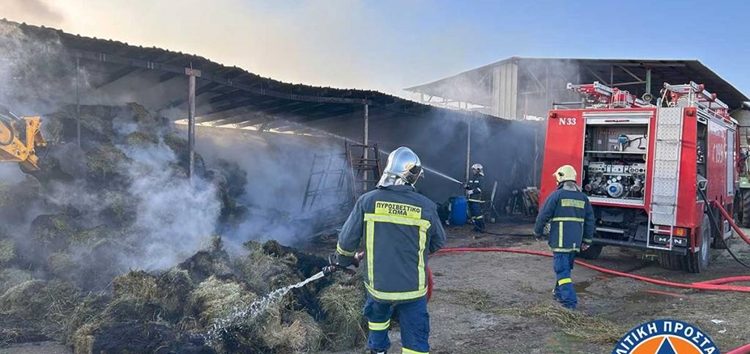 Ευχαριστήριο για την κατάσβεση πυρκαγιάς σε κτηνοτροφική μονάδα στο Αρμενοχώρι