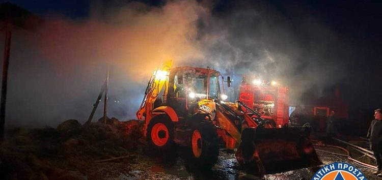 Συμμετοχή της Πολιτικής Προστασίας του Δήμου Φλώρινας στην κατάσβεση φωτιάς σε κτηνοτροφική μονάδα στην κοινότητα Αρμενοχωρίου