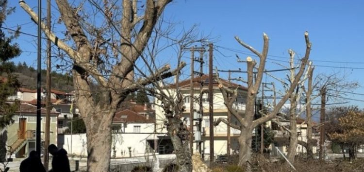 Κλαδεύσεις επικίνδυνων δένδρων, καλλωπισμός πάρκων και καθαρισμός ερεισμάτων, από την Αντιδημαρχία Καθαριότητας & Πρασίνου του Δήμου Αμυνταίου