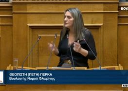 Πέτη Πέρκα: «Κυβέρνηση άμοιρη ευθυνών, που η κοινωνία δεν της έχει πλέον εμπιστοσύνη»