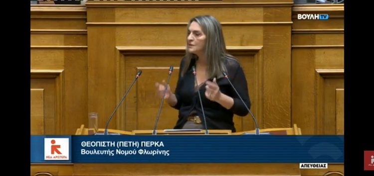 Πέτη Πέρκα: «Κυβέρνηση άμοιρη ευθυνών, που η κοινωνία δεν της έχει πλέον εμπιστοσύνη»